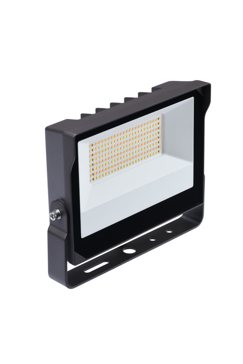 Stonco Lighting SlimFlood LED dual select