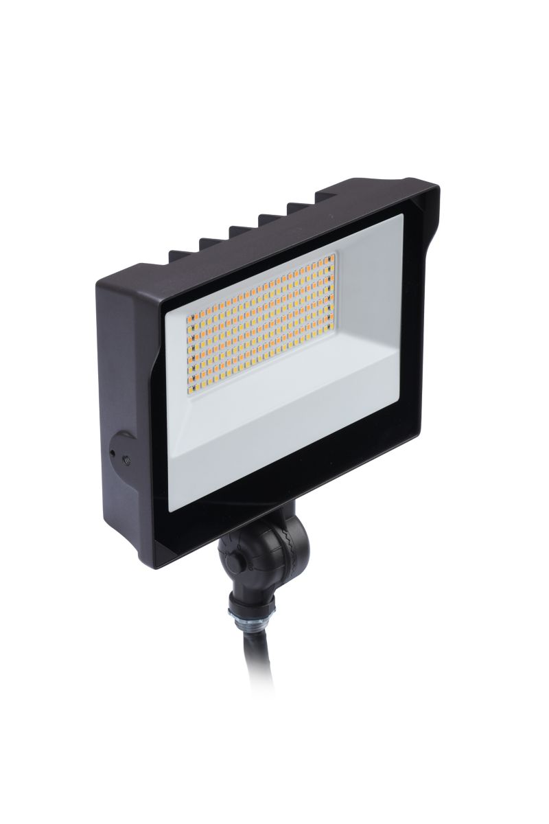 Stonco Lighting SlimFlood LED dual select