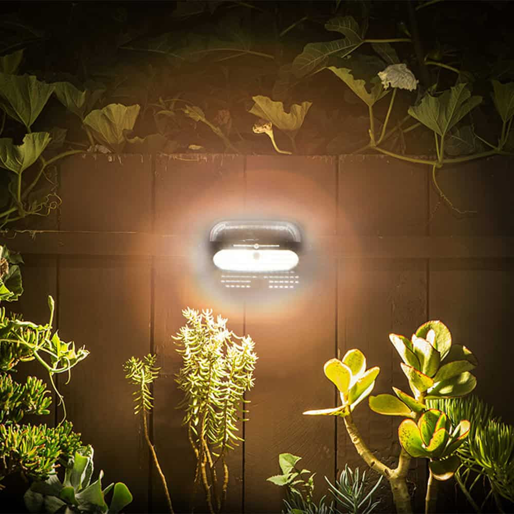 Soltech Lighting Solar Wall Pack Light NUVO Additional Image 3