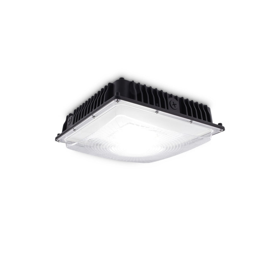 Stonco Keene Garage and Canopy Square DualSelect Light Image 1