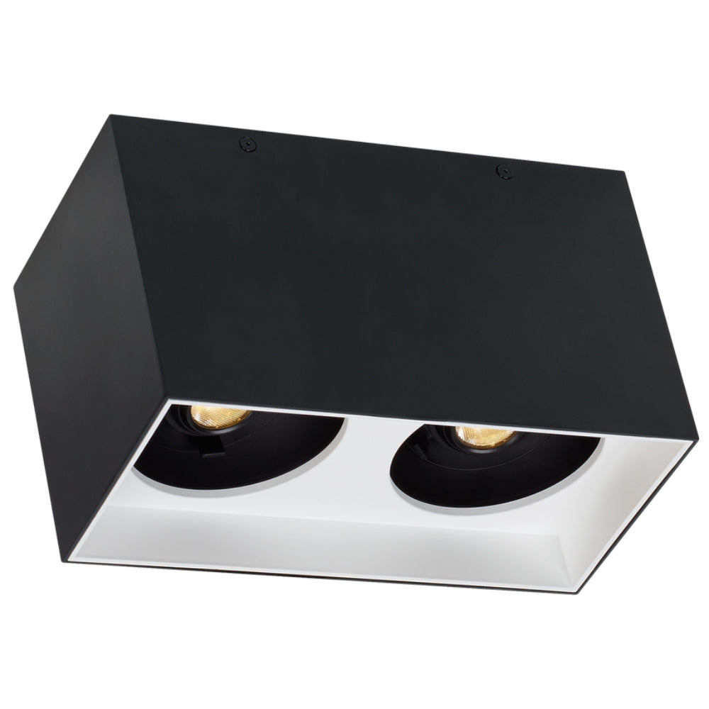 Tech Lighting 700FM Exo 6 Dual Flush Mount By Visual Comfort