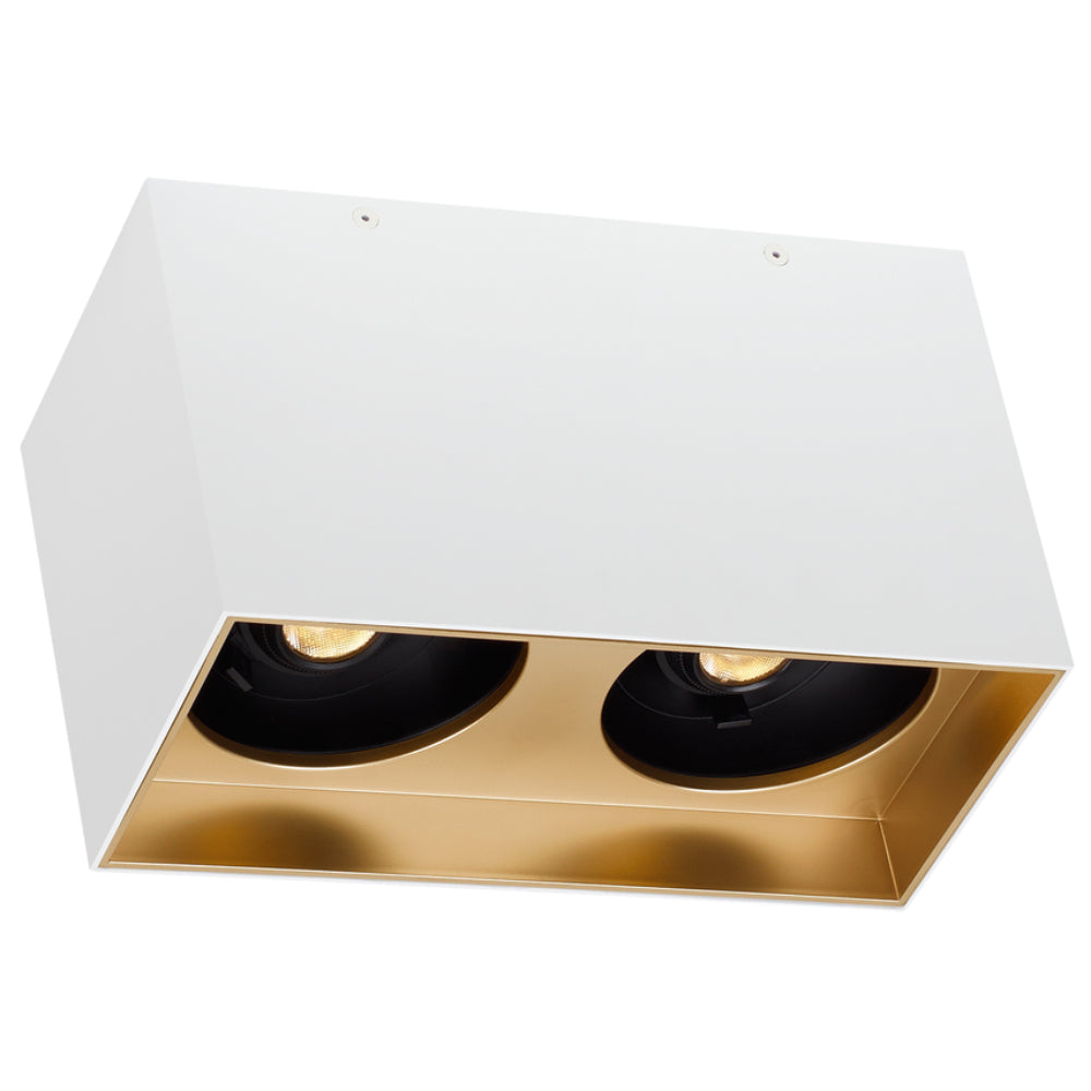 Tech Lighting 700FM Exo 6 Dual Flush Mount By Visual Comfort