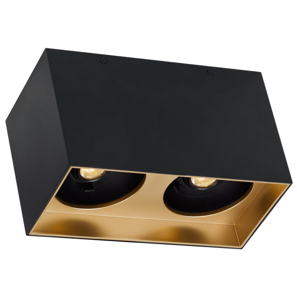 Tech Lighting 700FM Exo 6 Dual Flush Mount By Visual Comfort
