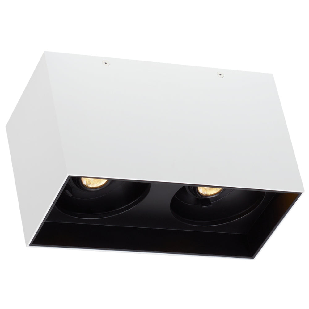 Tech Lighting 700FM Exo 6 Dual Flush Mount By Visual Comfort