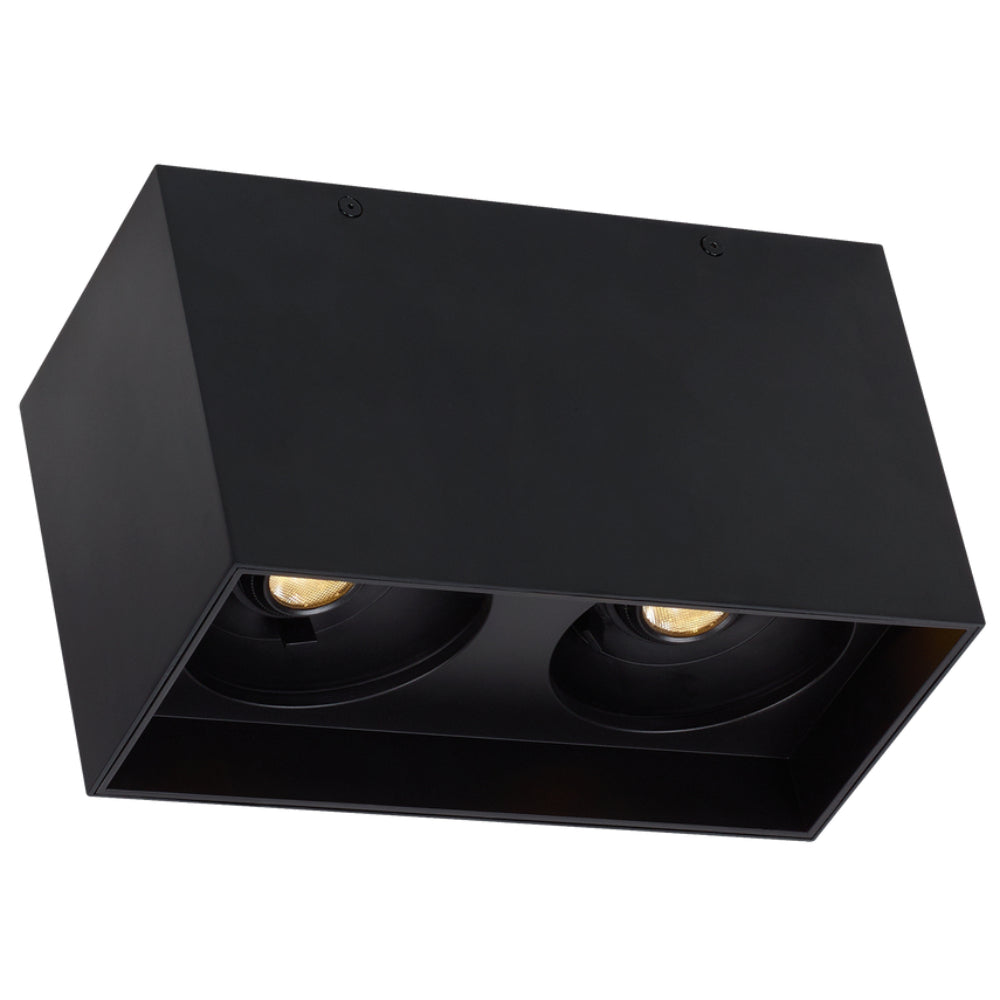 Tech Lighting 700FM Exo 6 Dual Flush Mount By Visual Comfort