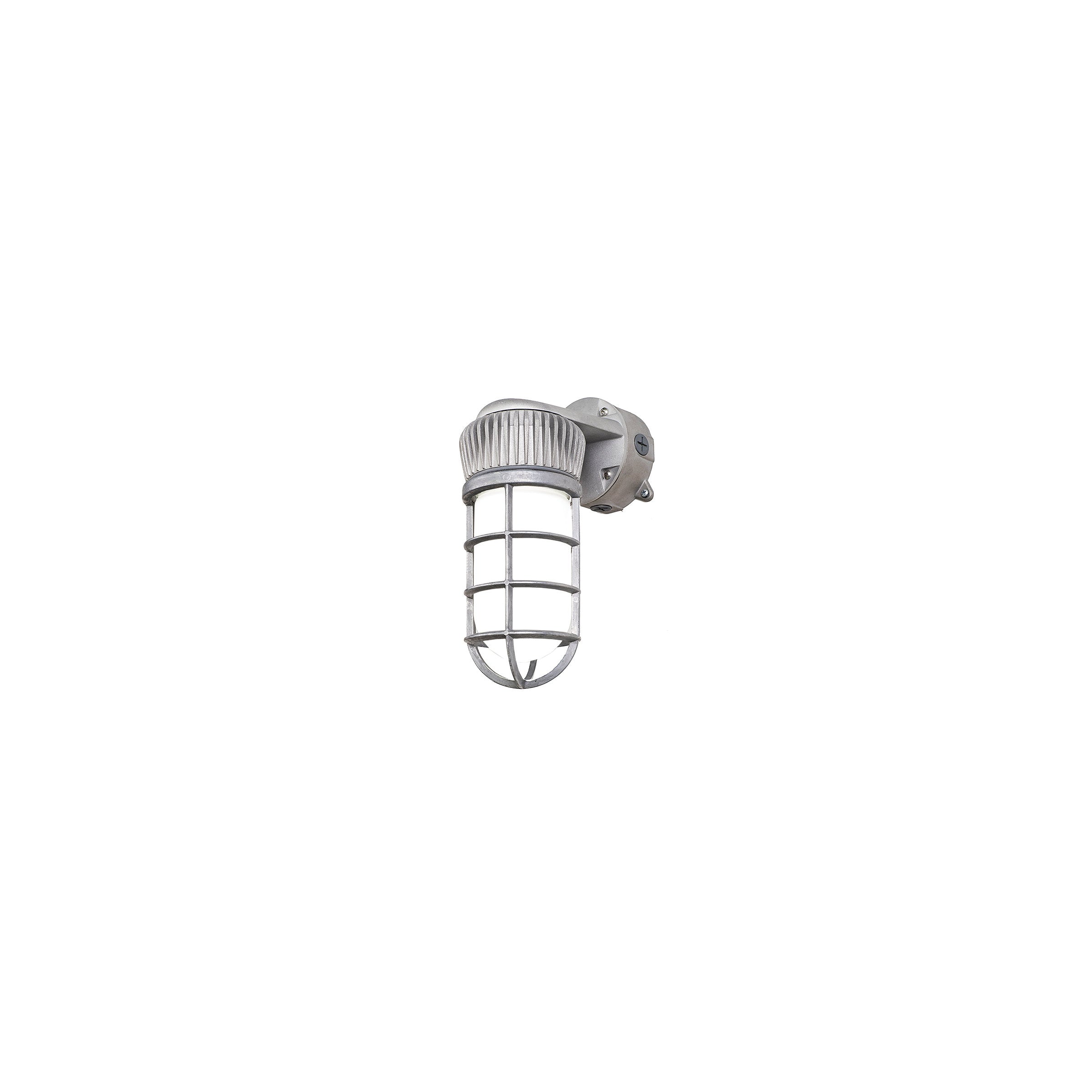 Stonco Lighting Roughlyte LED VCXL-VWXL Vapor tight