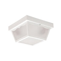 Advantage Environmental Lighting AE05 Residential Century 10.25"