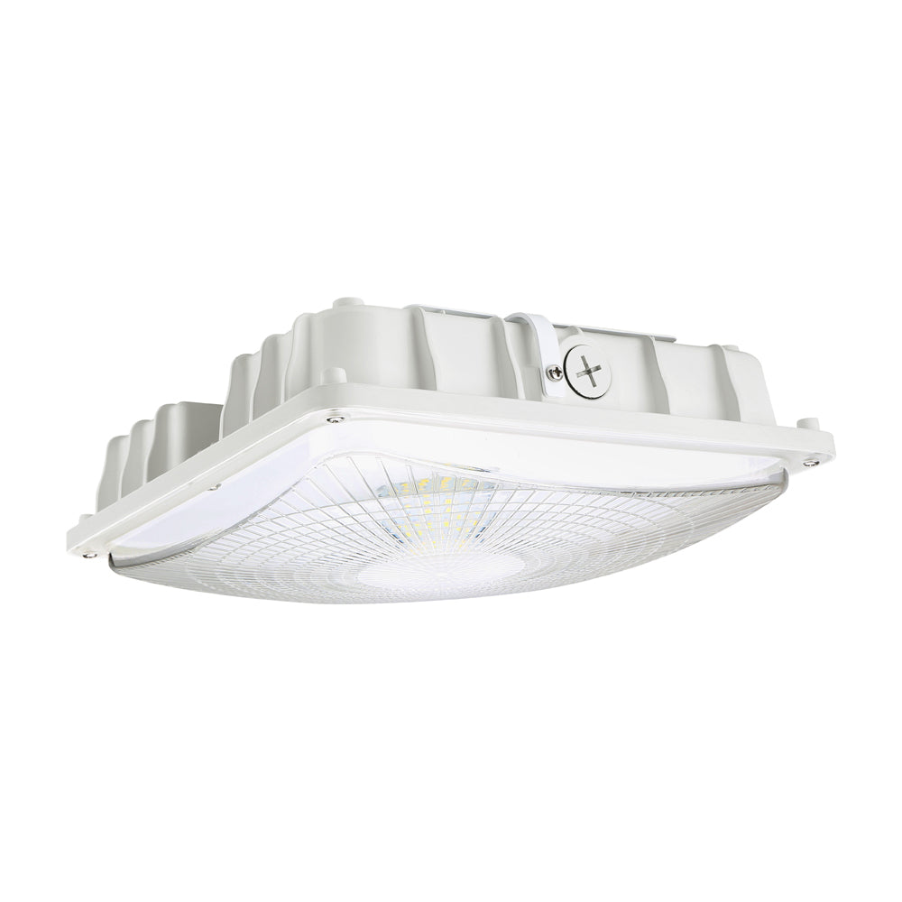 Arcadia Lighting CPGX Series Canopy & Parking Light