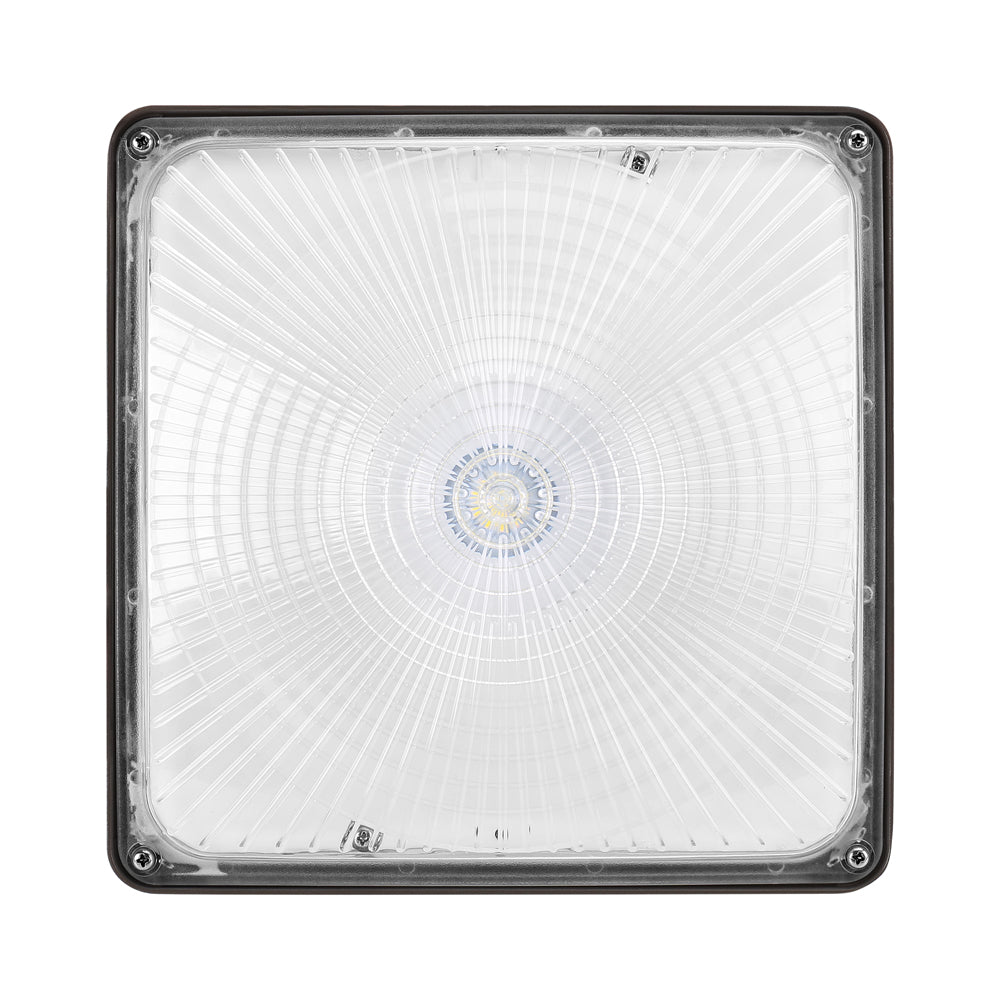 Arcadia Lighting CPGX Series Canopy & Parking Light