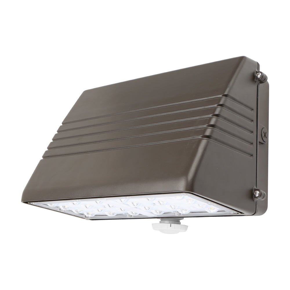 Arcadia Lighting WPFCX Series Wall Light