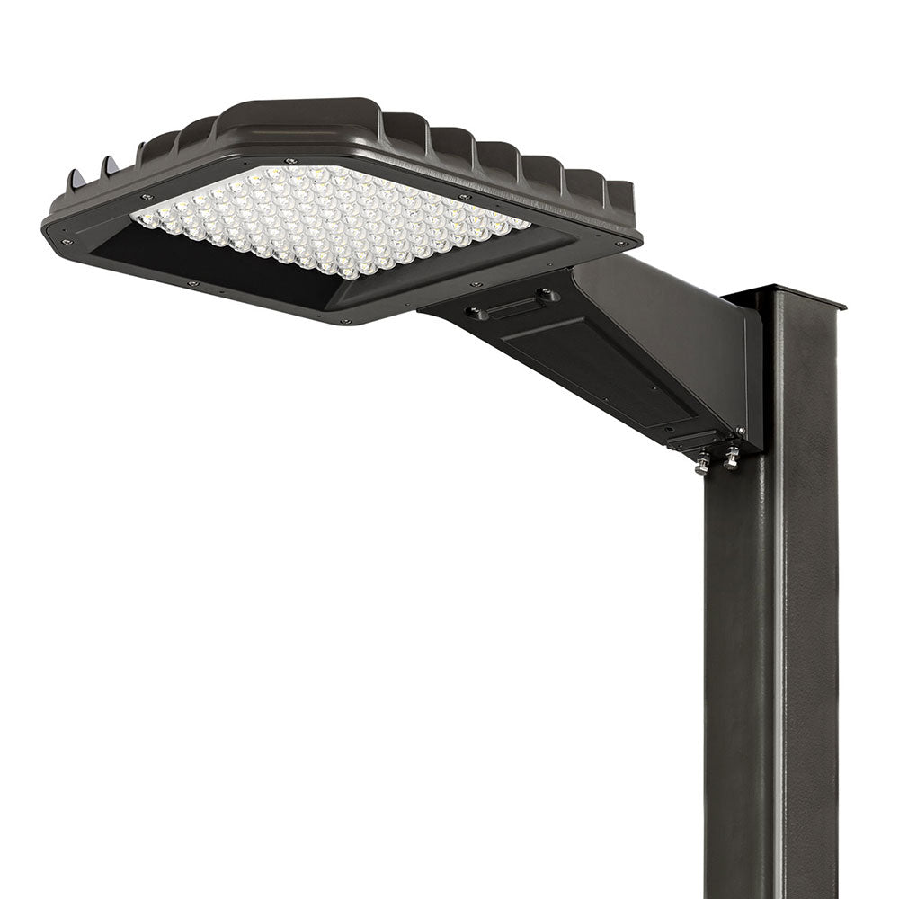 Atlas Lighting Eagle Series Area Light Medium SLPM