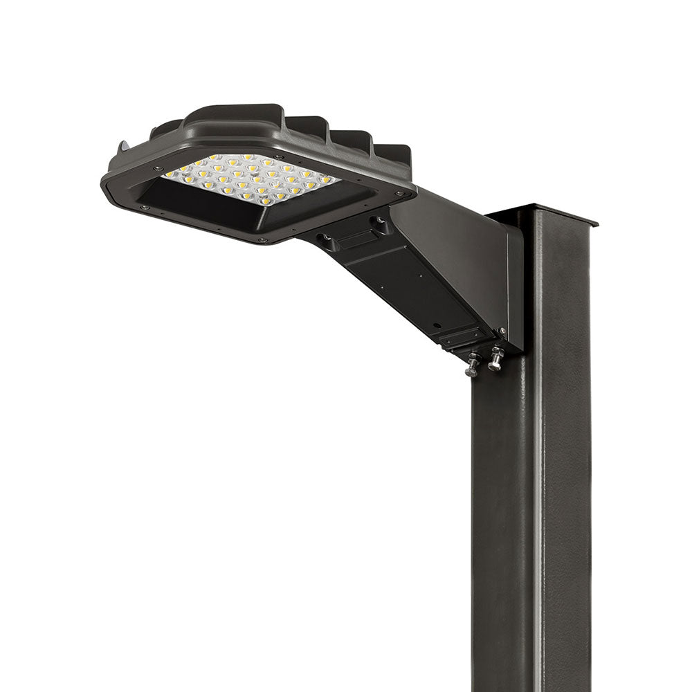 Atlas Lighting Eagle Series Area Light Small SLPS