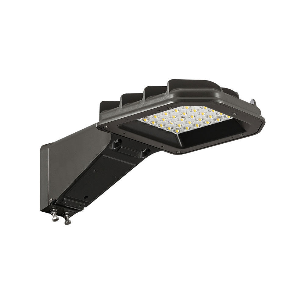 Atlas Lighting Eagle Series Area Light Small SLPS