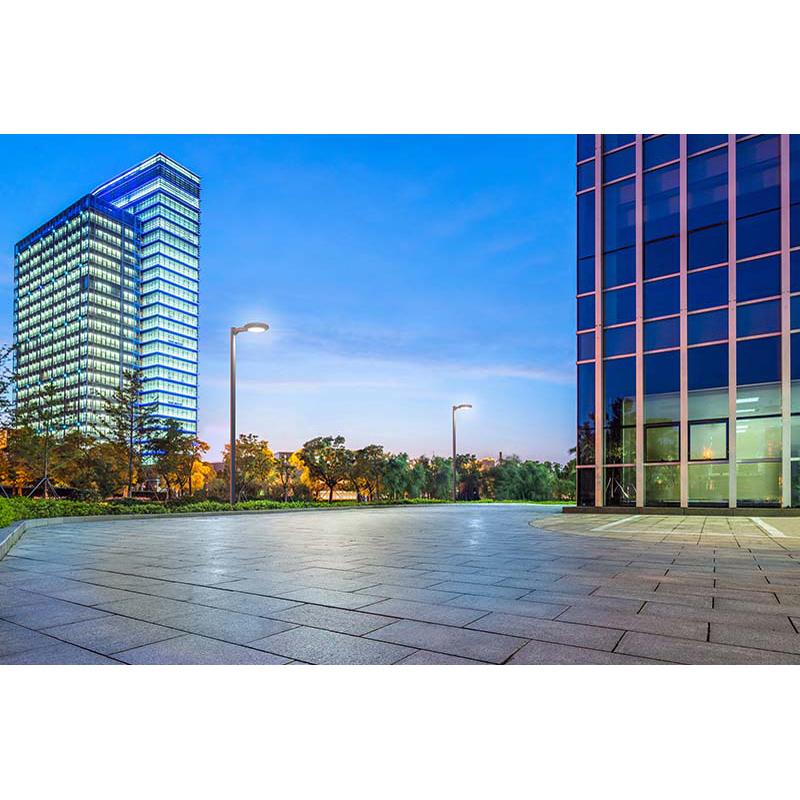 Gardco Lighting SFRA SlenderForm Round LED Arm Mount Comfort