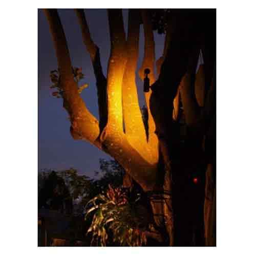 Hunza Lighting Tree Mount Light