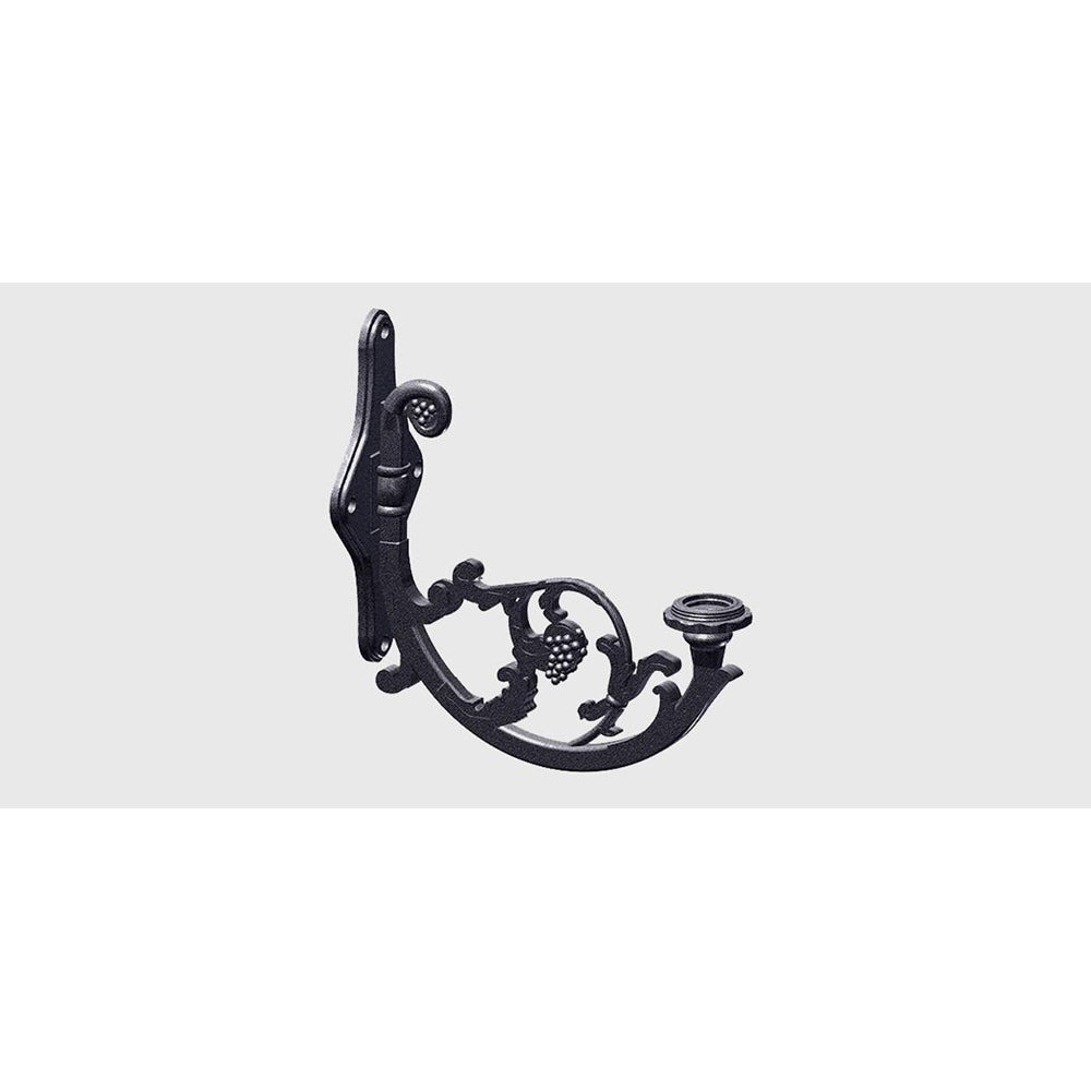 Sternberg Lighting Arm 531