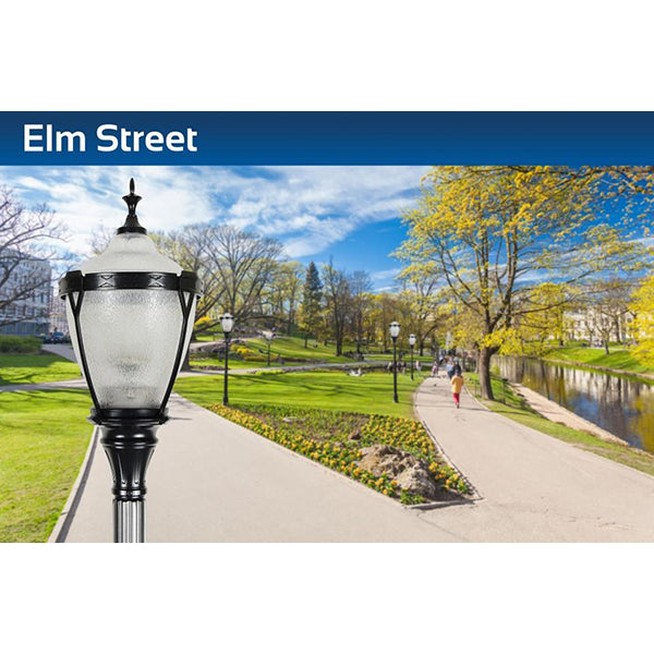 Sternberg Lighting B780-VCOB Elm Street