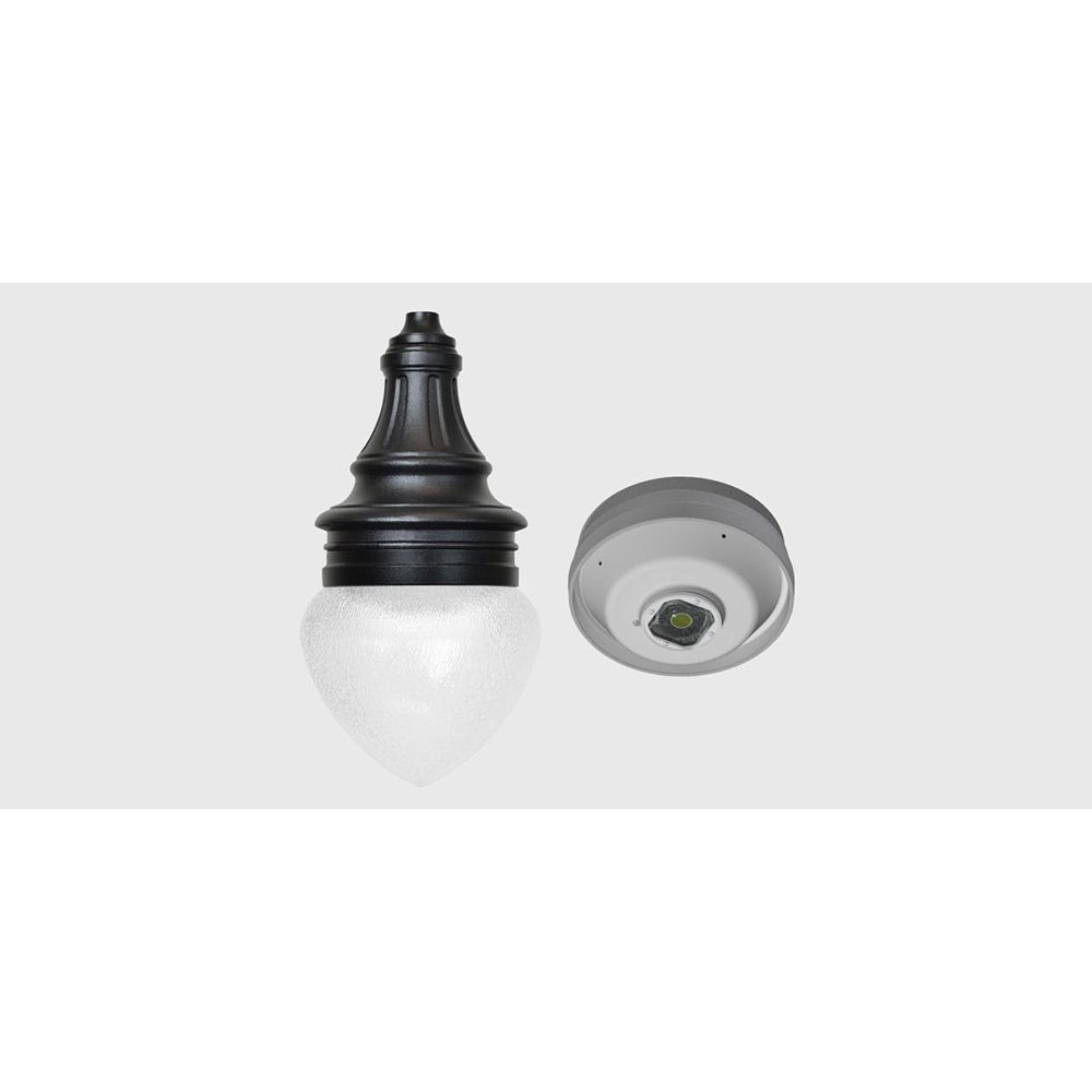 Sternberg Lighting LED-1910 Acorn