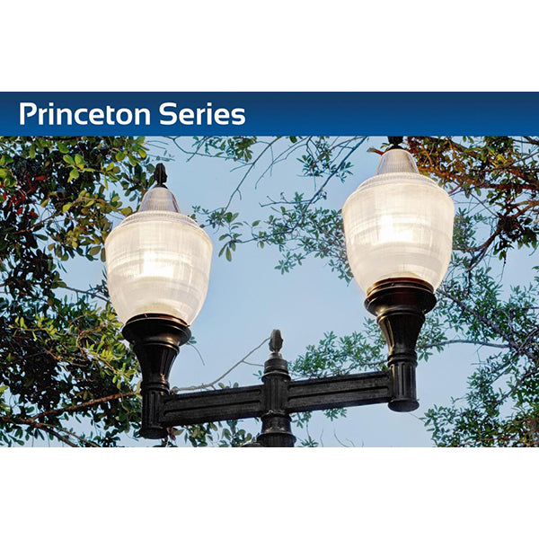 Sternberg Lighting LED-A653/LED-A655 Princeton