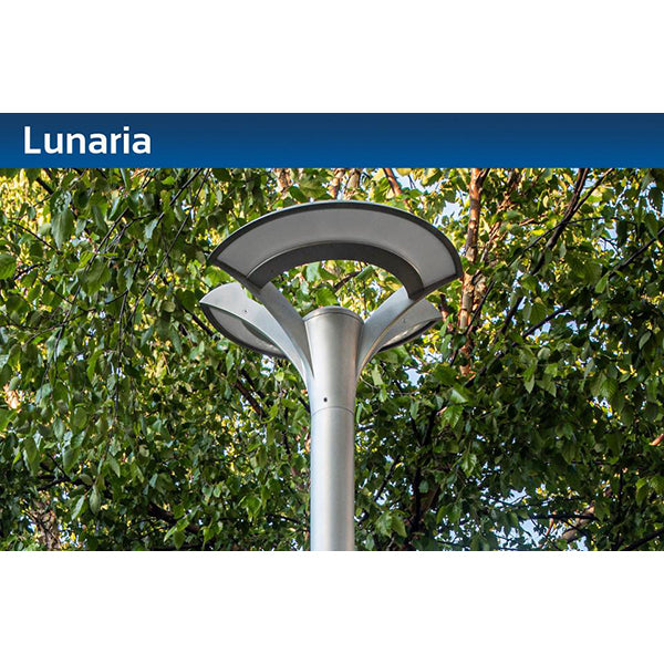 Sternberg Lighting LU660 Medium Lunaria&trade;