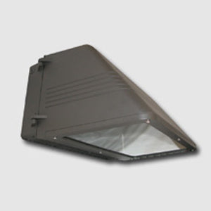 Techlight LWP-CO Large Cutoff Wall Pack